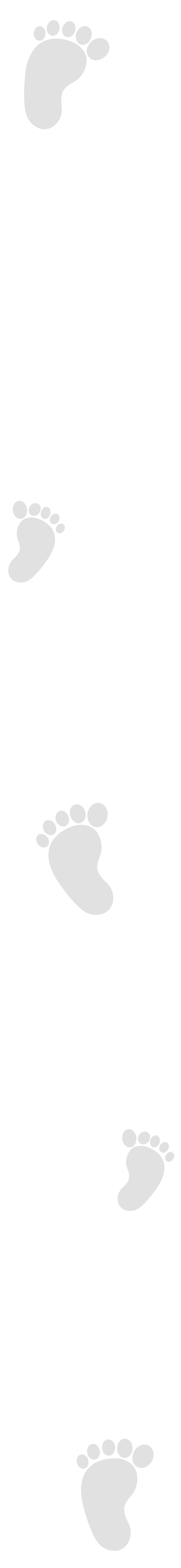 批批网发展历程时间线