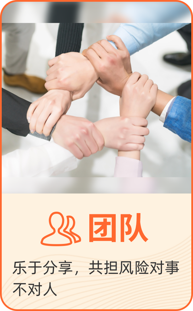 批批网价值观-专业